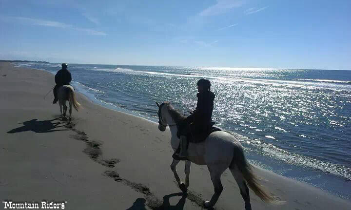 Horse Riding In Montenegro